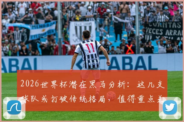 2026世界杯潜在黑马分析:这几支球队或打破传统格局,值得重点关注